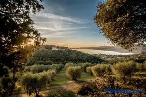 La Cotogna - Image 2