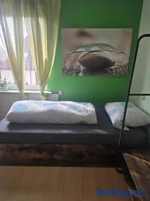 Sonnige Ferienzimmer WHV - Image 2