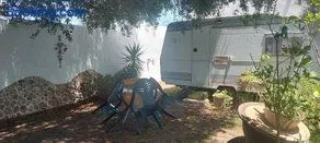 Mi Cachito - Image 3