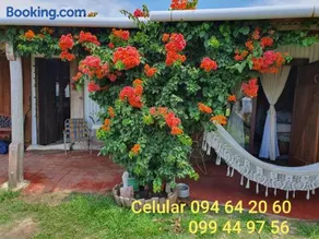 Quindio - Image 5