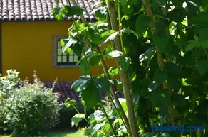 Casa Rural El Bellucu - Image 4