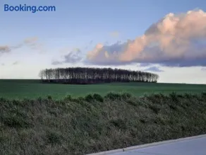 Met een knipoog naar de fruitstreek! - Image 3
