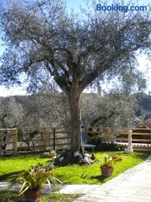 la casetta del nonno - Image 4