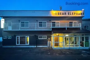 Bear Elephant - Image 5