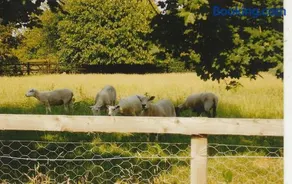 Bank Farm Cottages - Image 4