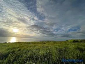 Stella Matutina - Image 2