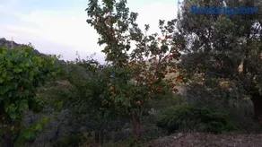 Villa Mattia - Image 3