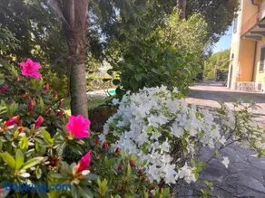 Villa Santa Chiara Lesa - appartamento vista lago con piscina - Image 1