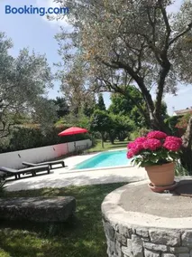 Sophie et Jamiel - Image 1