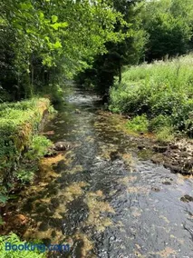 Authentic Water Mill - Image 5