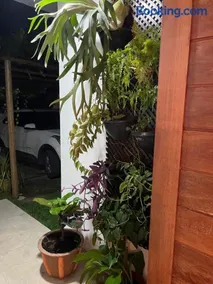Um Paraíso em Paripueira - Image 3