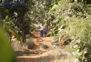 SaffronStays Maativan - 4BR Pet-Friendly Eco Villa with Private Pool, Nature Walks & Activities - Image 3