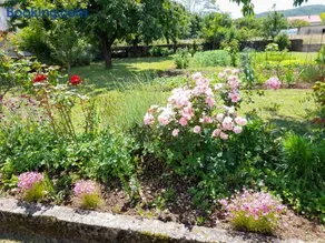 Apartman Francesca - Image 2