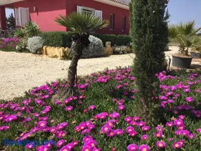 Picturesque Villa in Sciacca with Sea View and Garden - Image 3