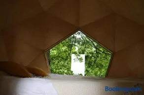 T'glamp Bee house - Image 2