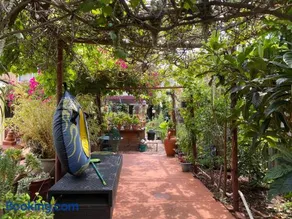 Merrypetch - Image 5