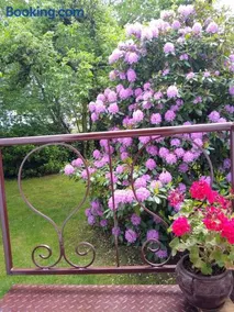 Alster City Garden Villa - Image 5