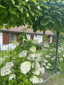 Apartamenty Buczyna w Sierakowie - Image 1