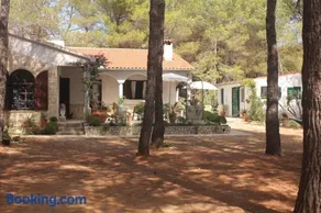 Studio apartment in Veli Rat with sea view, balcony, washing machine 882-1 - Image 2