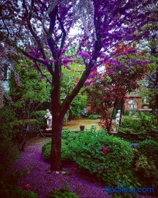Cascina CORTEPRIMAVERA, B&B del Baliot - Image 2