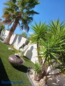 La Paillote - Image 4