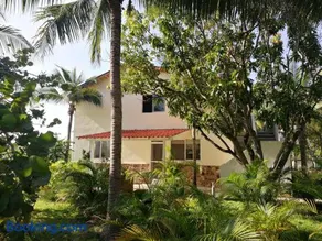 Entre Dos Aguas - Image 1