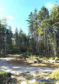 Shackmatack - Image 2