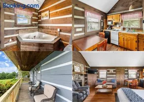 Charming Blue Ridge Cabin with Jacuzzi and Mountain Views-Cabin 2 - Image 1