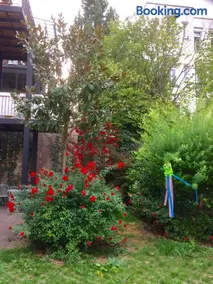 Villa Schiller, 2 studios côté jardin - quartier Orangerie - Image 2