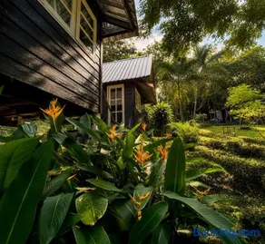 Vanara Resort - Image 2