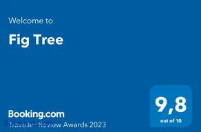 Fig Tree - Image 2