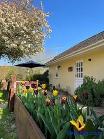 Bow Cottage - Image 4