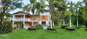 Finca Villla las Palmas - Image 5
