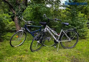 Ferienwohnung Hitzacker/Elbe - Image 2