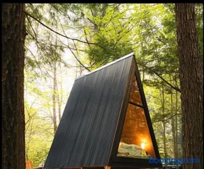 Forest Glam - Image 1