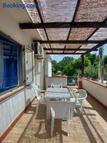 Capo summer - Image 5