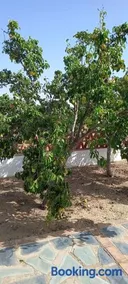 Las Hazuelas Villa 15 - Image 2