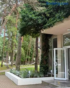 Palangos Dailė - Image 3