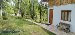 Mesteceni Glamping - Image 4