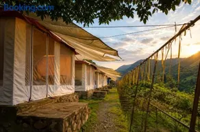 Stay Blessed Ecostays - Glamping and Stone Villas, offbeat jungle stay with Organic Food - Image 4