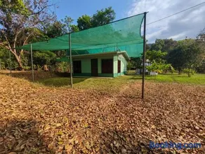 Coyolito Mountain - Image 1
