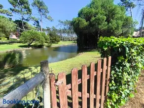 Praia de Mira casa de vacaciones, un paraíso de paz - Image 2