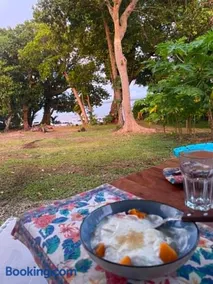 Helt Vanua Lodge - Image 3