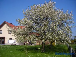 Ferienwohnung Gisela Kästner Stolpen - Image 3