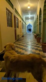 Vyom Hostel Pushkar - Image 2