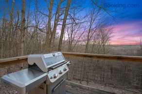 Hot tub, fireplace, fire pit, pool table, grill, EV, pets, HOA lake - Image 4