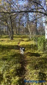 Ryen Hytteutleie - Cottages - Image 3