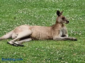 Tukawyl Retreat Landsborough - Image 5
