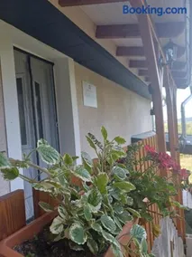 LídRind porta - Image 3