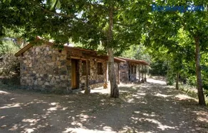 Cepo Verde - Image 1